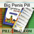 Big Penis Pill 11